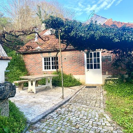 Villa Quinta De Ribas à Amarante Extérieur photo
