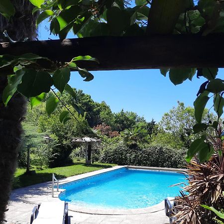 Villa Quinta De Ribas à Amarante Extérieur photo