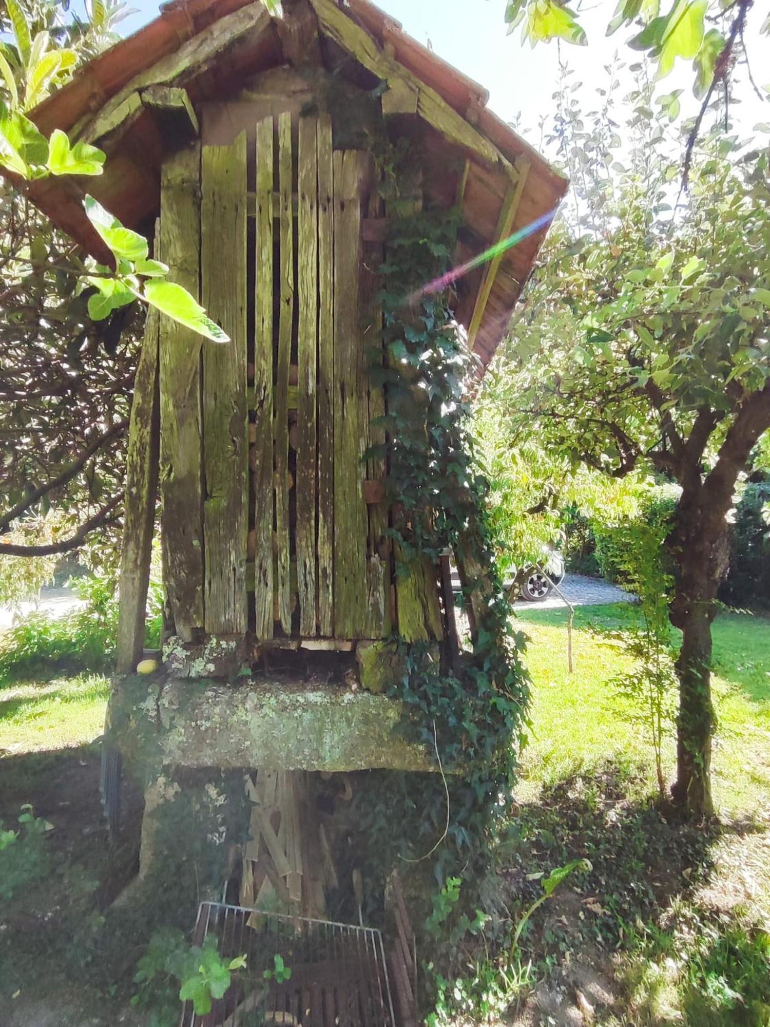 Villa Quinta De Ribas à Amarante Extérieur photo