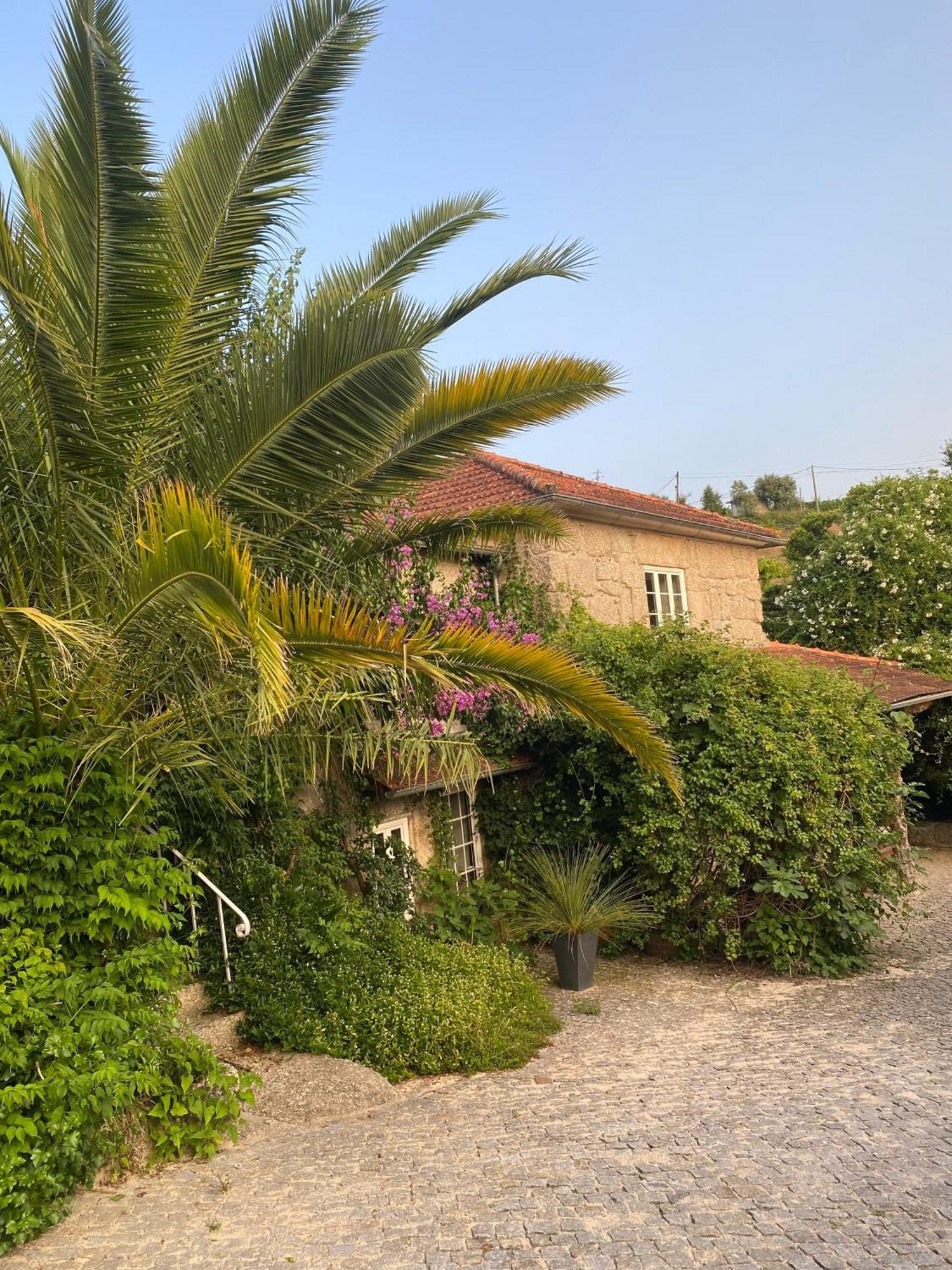Villa Quinta De Ribas à Amarante Extérieur photo