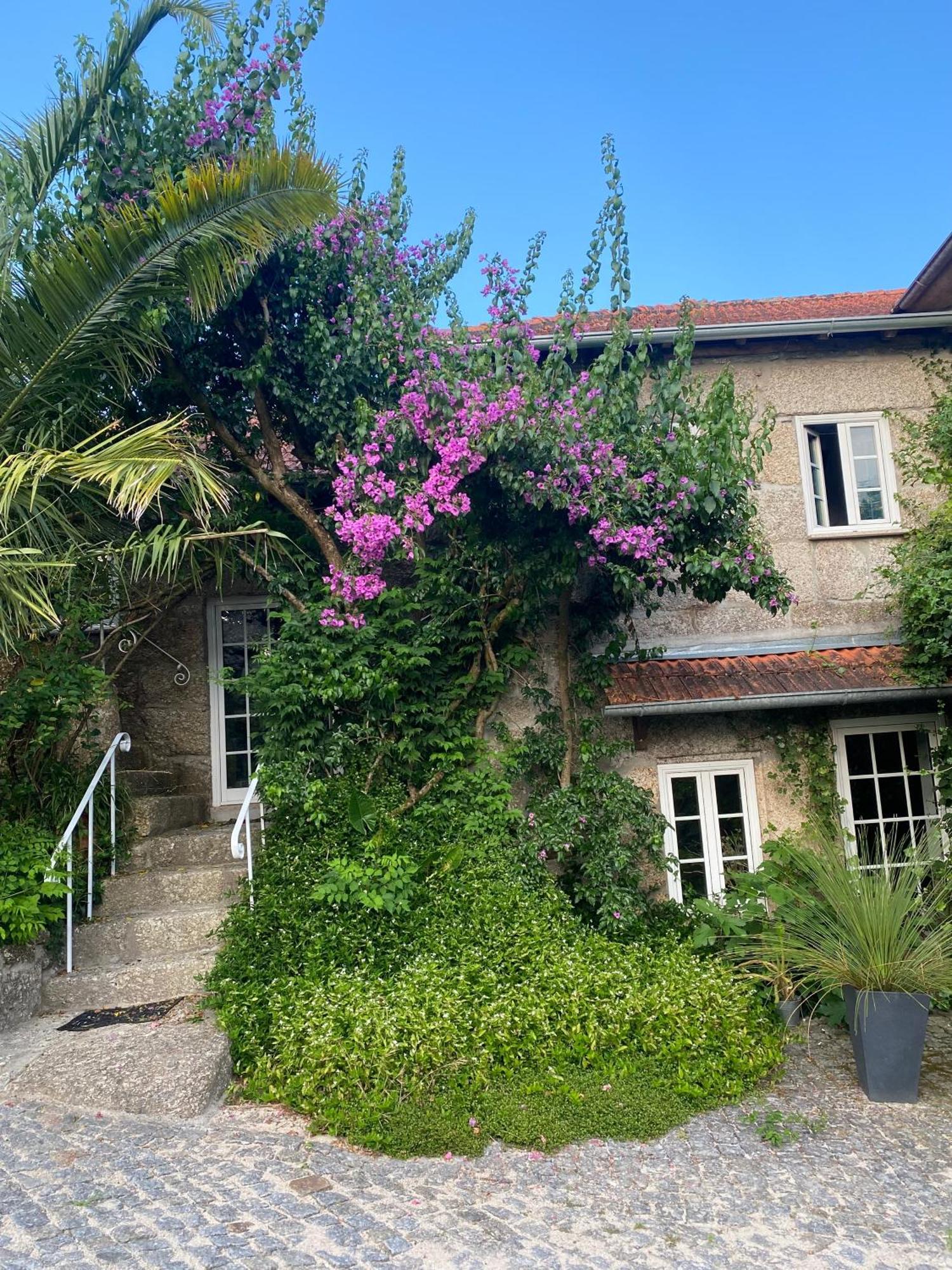 Villa Quinta De Ribas à Amarante Extérieur photo